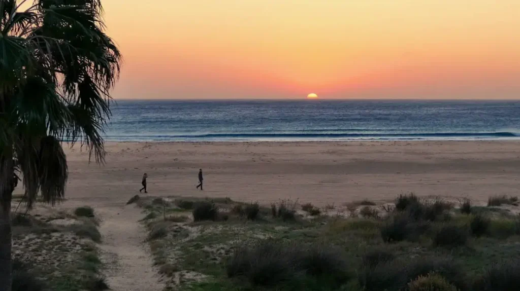 من ماربيا إلى تاريفا